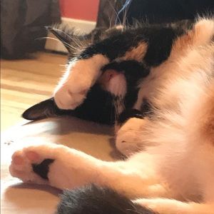 Meet your Posher, Grace